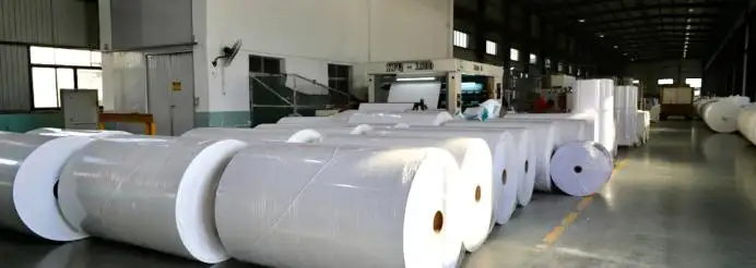 Papel térmico libre de BPA