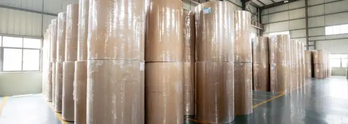 Rollos de papel térmico libres de BPA